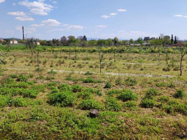 Terreno in vendita a Mantignano, Firenze
