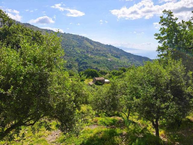 Terreno in vendita a Fiumedinisi, Sicilia