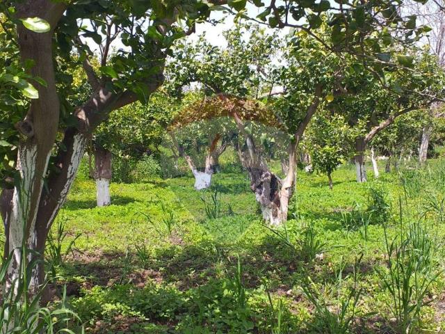 Terreno in vendita a Fiumefreddo Di Sicilia, Sicilia