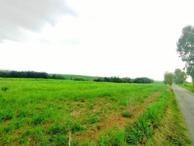 Terreno in vendita a Roma Capitale, Lazio