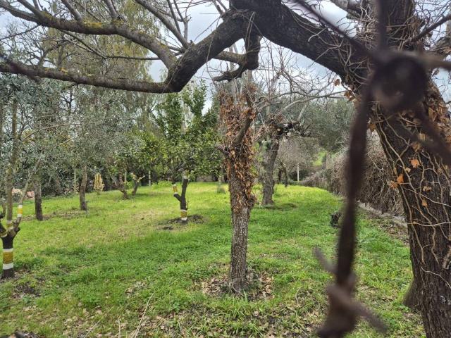 Terreno in vendita a Roma Capitale, Lazio