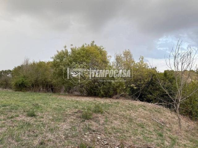 Terreno in vendita a Roma Capitale, Lazio