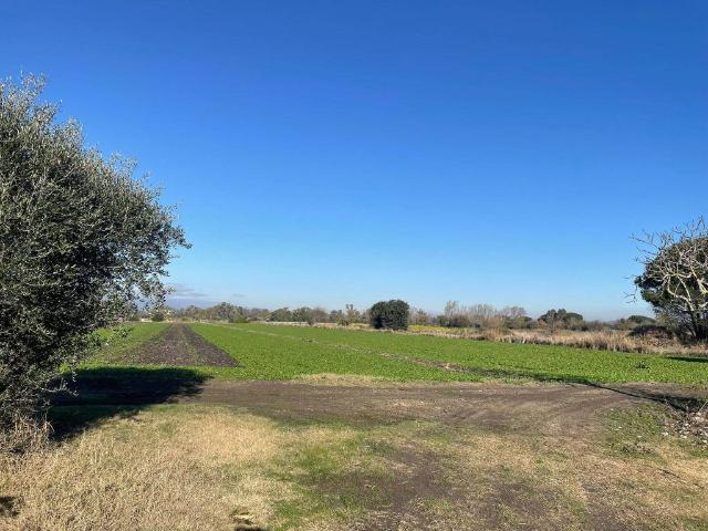 Terreno in vendita a Roma Capitale, Lazio