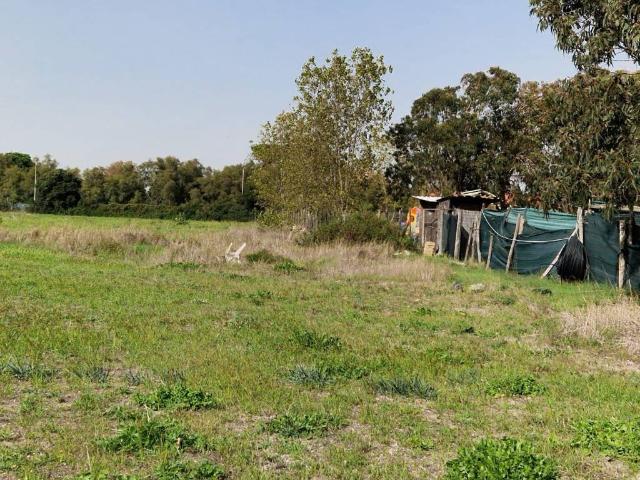 Terreno in vendita a Roma Capitale, Lazio
