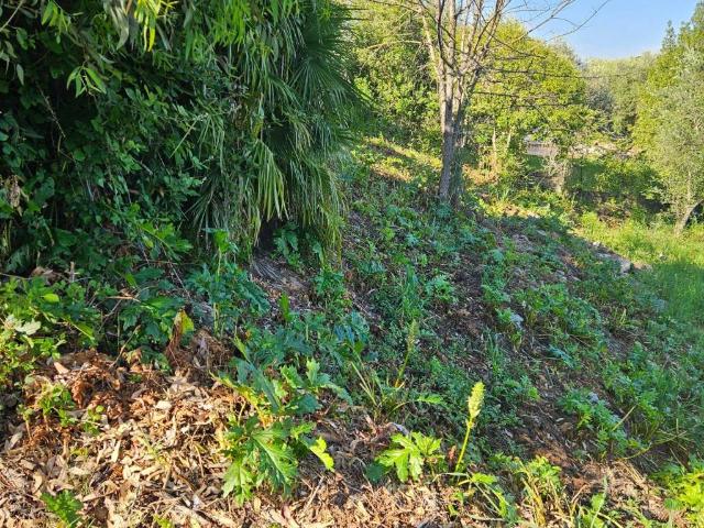 Terreno in vendita a Roma Capitale, Lazio