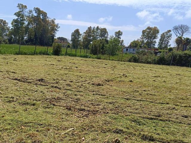 Terreno in vendita a Roma Capitale, Lazio