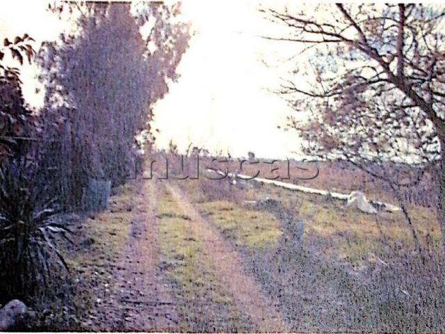Terreno in vendita a Fregene, Roma Capitale