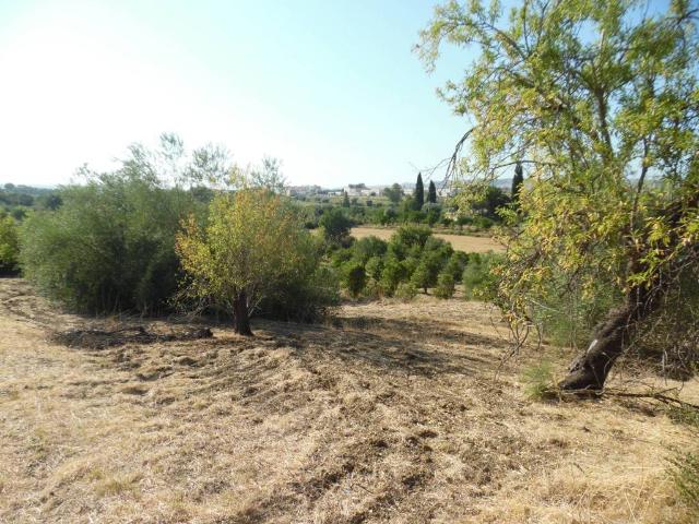 Terreno in vendita a Santuzzo, Floridia