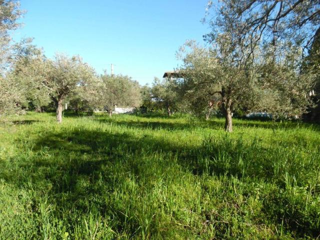 Terreno in vendita a Floridia, Sicilia
