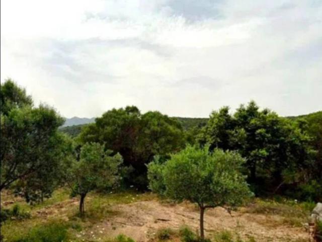 Terreno in vendita a Floridia, Sicilia