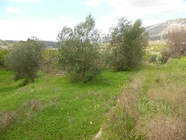 Terreno in vendita a Floridia, Sicilia