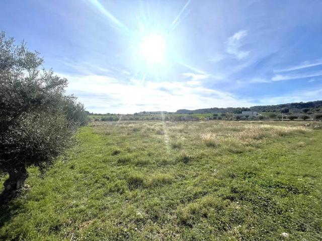 Terreno in vendita a Santuzzo, Floridia