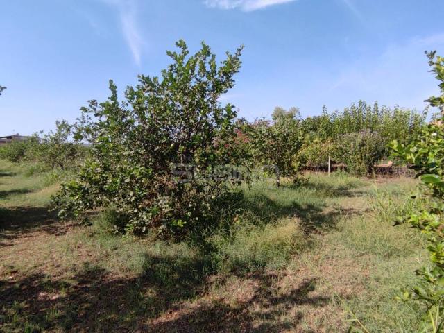 Terreno in vendita a Floridia, Sicilia