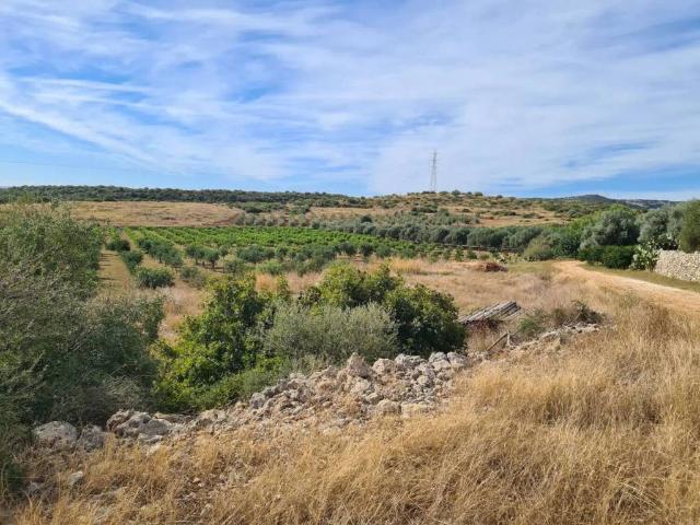 Terreno in vendita a Marchesa, Floridia
