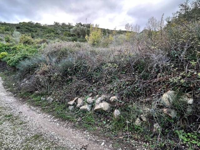 Terreno in vendita a Florinas, Sardigna/Sardegna