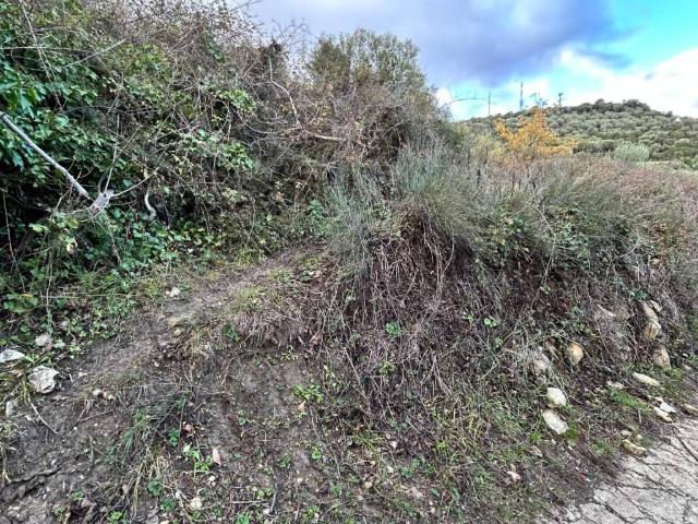 Terreno in vendita a Florinas, Sardigna/Sardegna