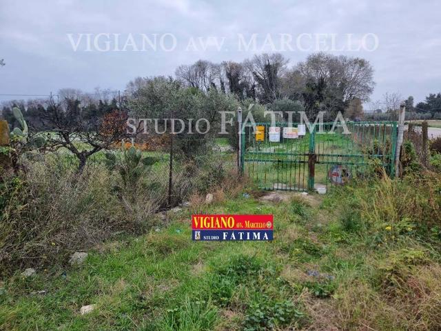 Terreno in vendita a Puglia, Foggia
