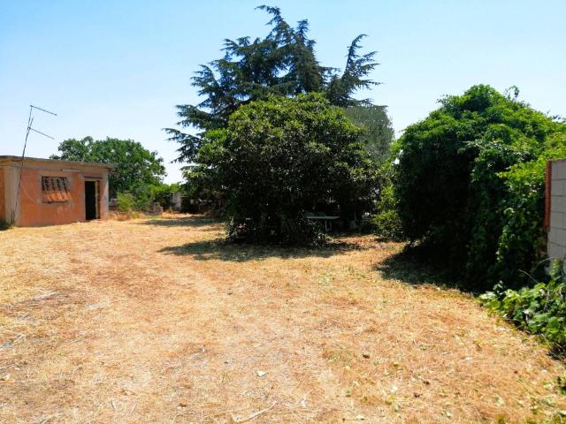 Terreno in vendita a Puglia, Foggia