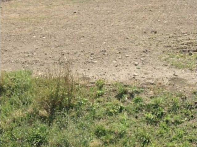 Terreno in vendita a Puglia, Foggia
