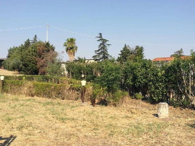 Terreno in vendita a Puglia, Foggia