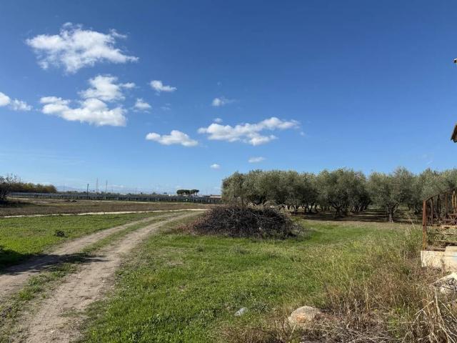 Terreno in vendita a Puglia, Foggia