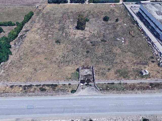 Terreno in vendita a Puglia, Foggia