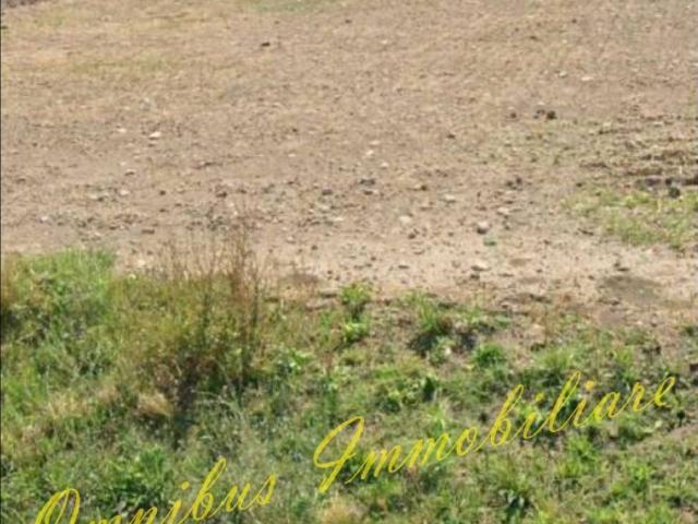 Terreno in vendita a Puglia, Foggia