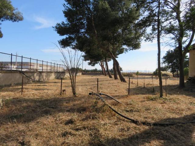 Terreno in vendita a Puglia, Foggia