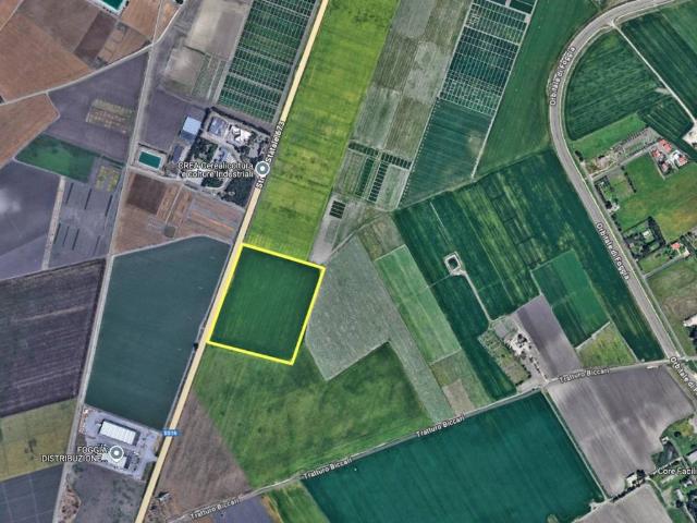 Terreno in vendita a Puglia, Foggia