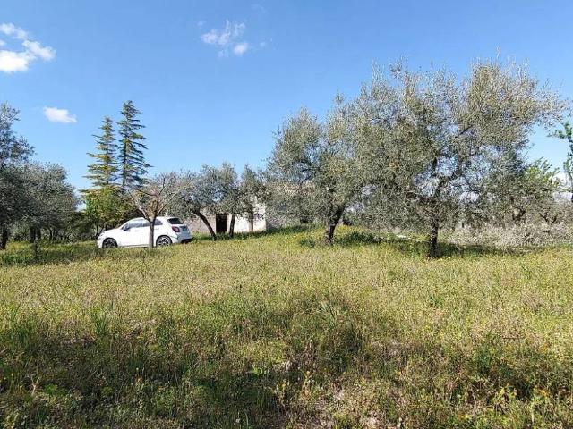 Terreno in vendita a Puglia, Foggia