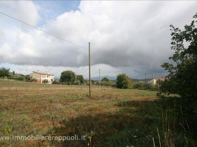 Terreno in vendita a Foiano Della Chiana, Toscana