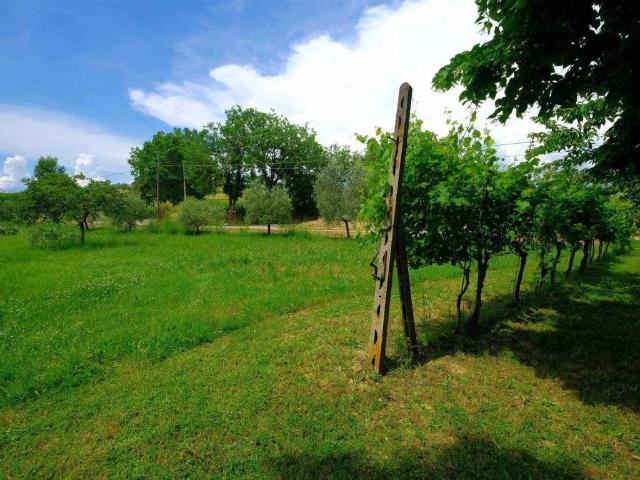 Terreno in vendita a Foiano Della Chiana, Toscana