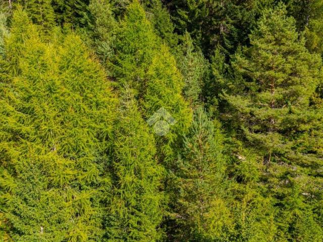 Terreno in vendita a Magnifica Comunità degli Altipiani Cimbri, Folgaria