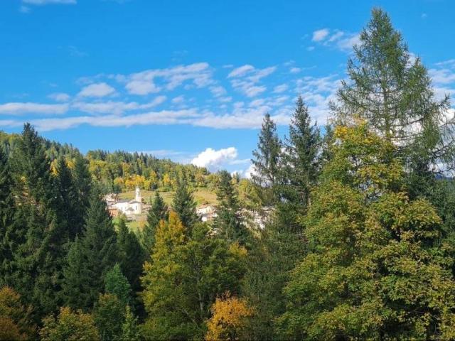 Terreno in vendita a Magnifica Comunità degli Altipiani Cimbri, Folgaria