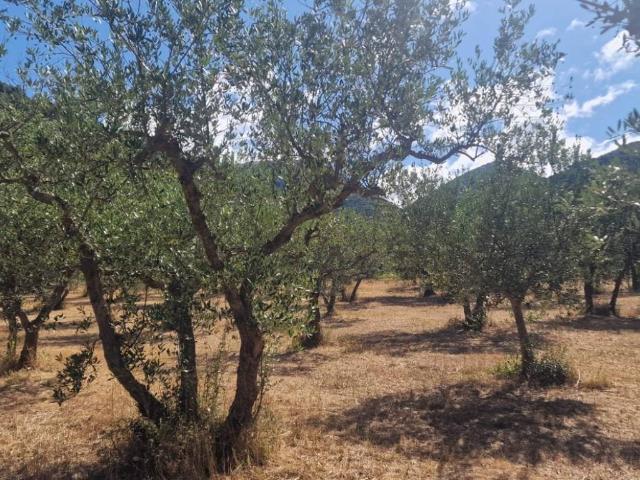 Terreno in vendita a Foligno, Umbria