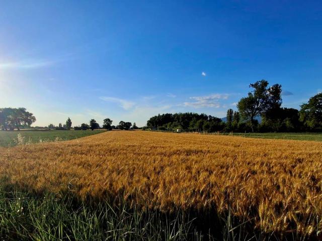 Terreno in vendita a Corvia, Foligno