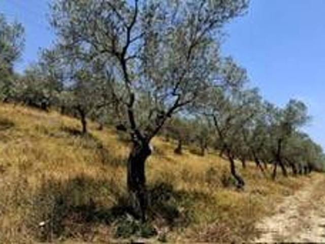 Terreno in vendita a San Giovanni Profiamma, Foligno