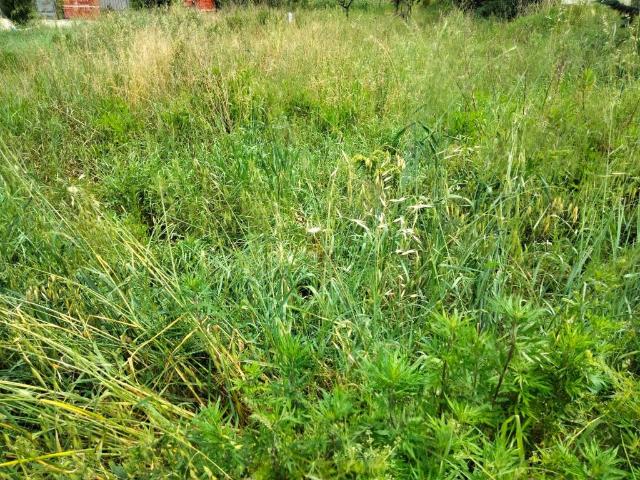 Terreno in vendita a Case Bruciate, Foligno