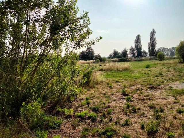 Terreno in vendita a Foligno, Umbria