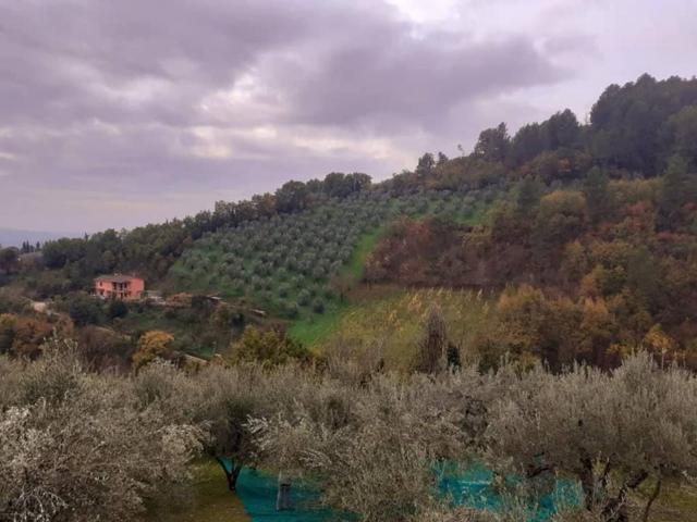 Terreno in vendita a La Valle, Foligno