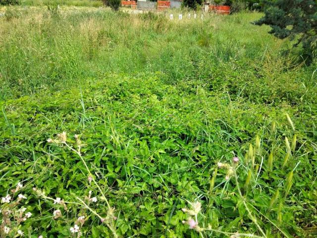 Terreno in vendita a Borroni, Foligno