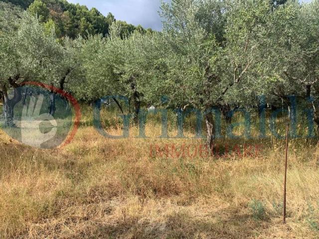 Terreno in vendita a Foligno, Umbria