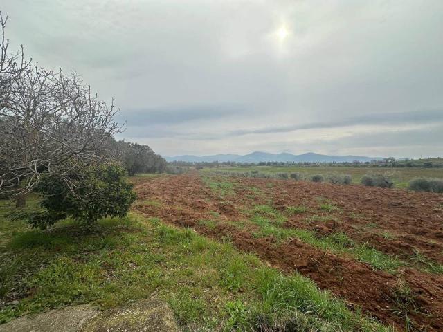 Terreno in vendita a Follonica, Toscana