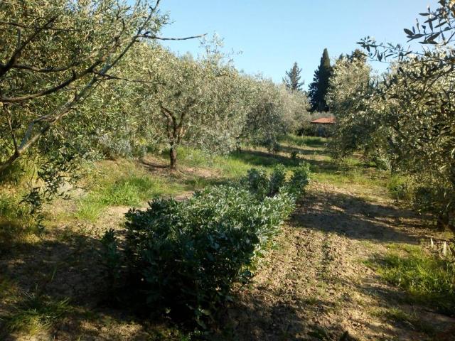 Terreno in vendita a Località Casa Valli, Follonica