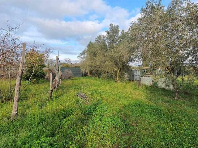 Terreno in vendita a Follonica, Toscana