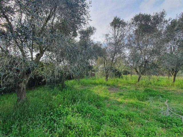 Terreno in vendita a Follonica, Toscana