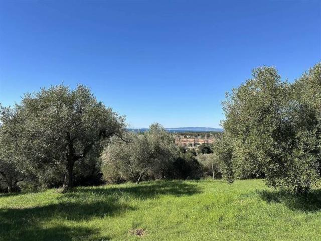 Terreno in vendita a Follonica, Toscana