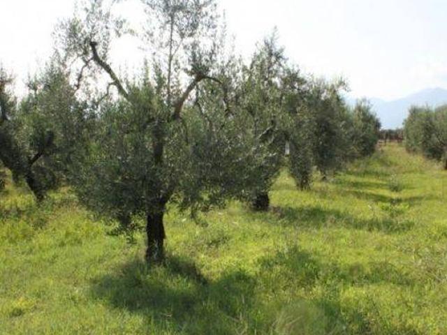 Terreno in vendita a Salto Di Fondi, Lazio