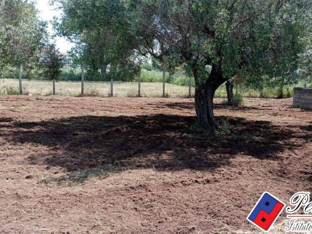 Terreno in vendita a Selvavetere, Salto Di Fondi