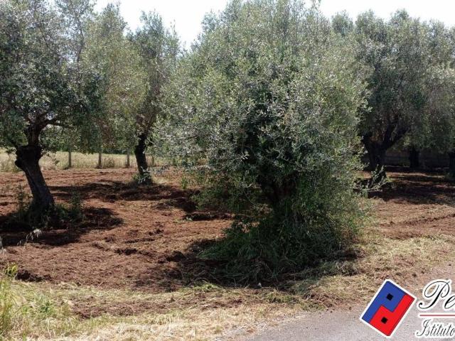 Terreno in vendita a Selvavetere, Salto Di Fondi